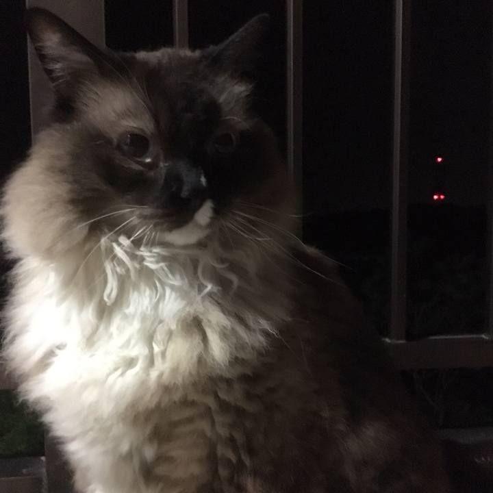 Cf3af57f 6ae4 4900 b081 a37e1d8b1181