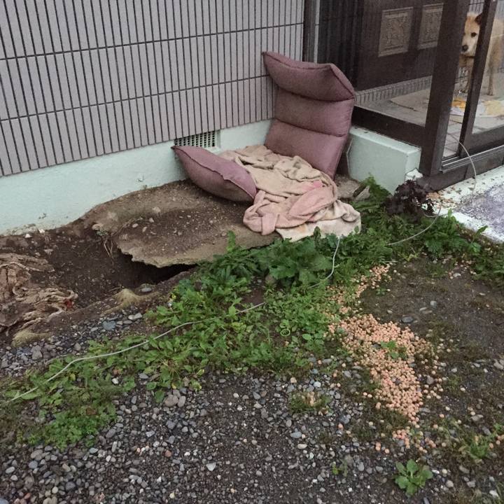 Cf3bb46f 9d8d 4391 a008 60aa1e09cd51