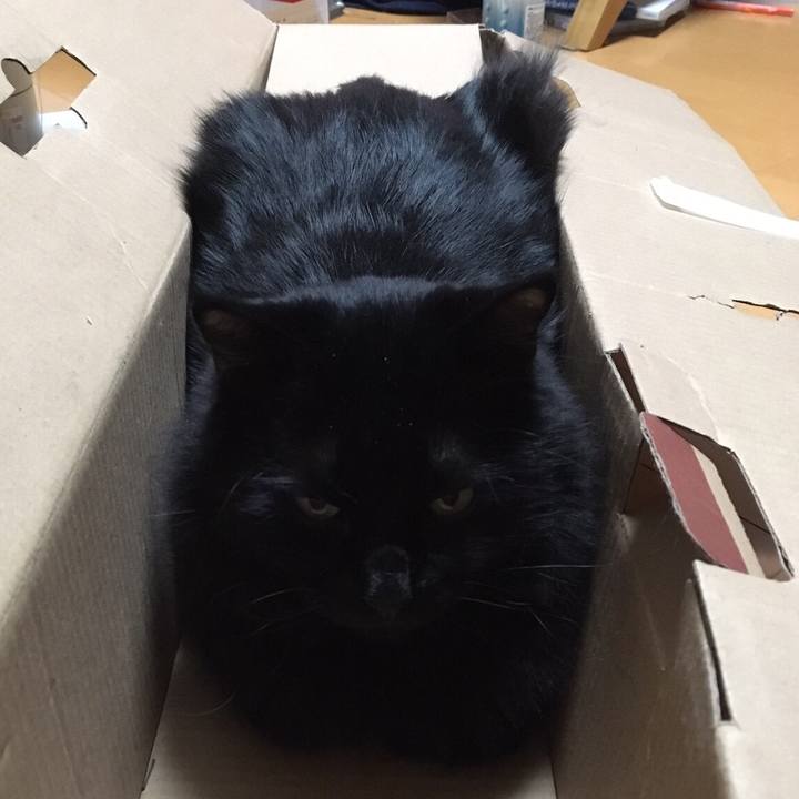 Cf3d8c8c 9f20 4c1c 9ddd 06264ce833fa