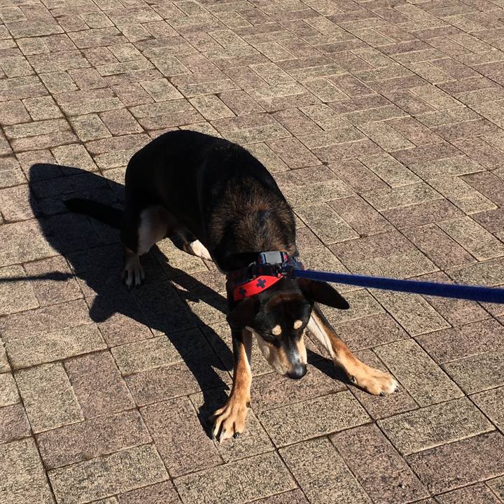 Cf3dd764 23c4 4ba1 badb d220d9296962