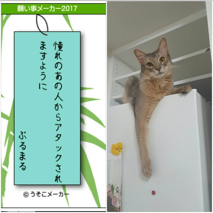 Cf3e0fac 1982 4712 9b2c d89fb1b85729