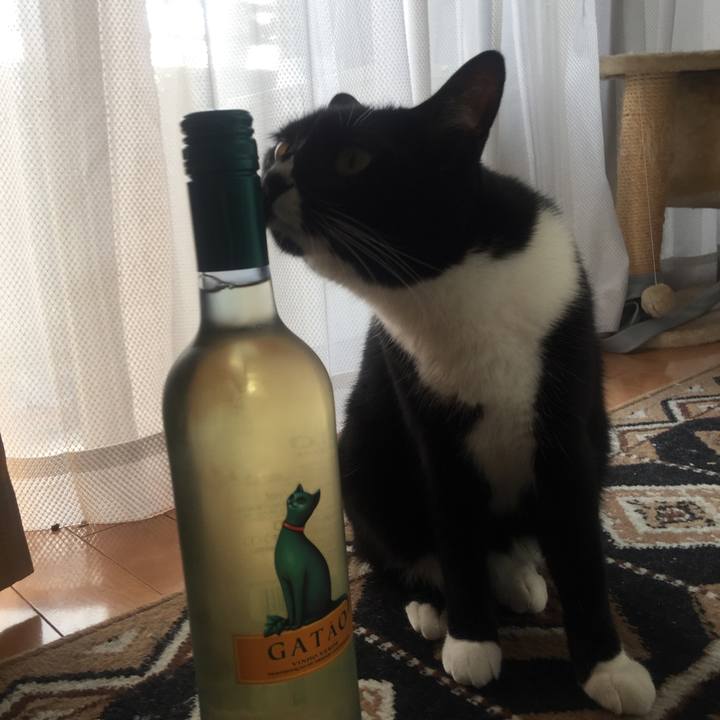 Cf3e2491 a3fd 4e20 9044 f7ddfc671acf