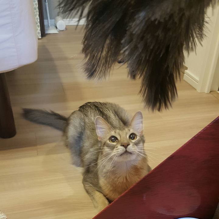 Cf3e2589 394a 4eee beb2 510bc578d999