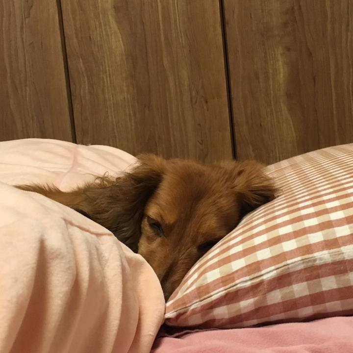 Cf3ecc3c 5a73 4066 bfb8 70b8c018b4f3