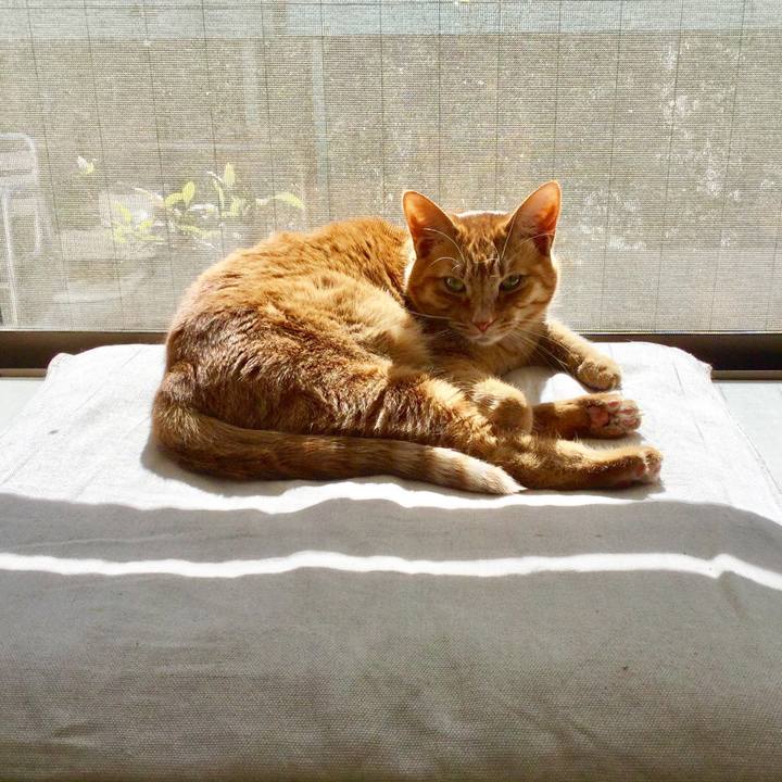 Cf3eeb46 d32b 42b0 8290 f0113fd25ea1