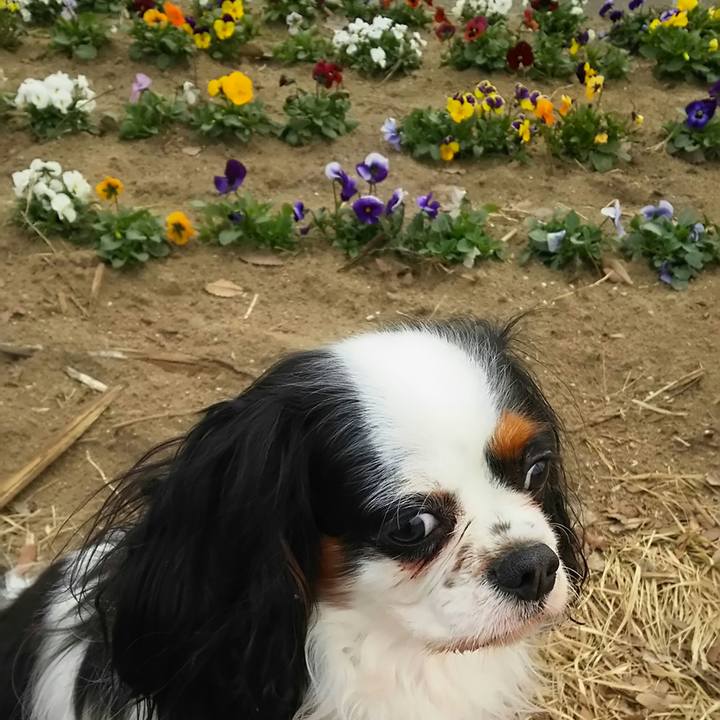 Cf3fbb8d 3439 47f4 90e1 5b6f4544077e