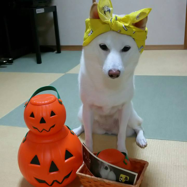 Cf4032b0 7bcd 48e9 ab39 0a8c0d2bb851