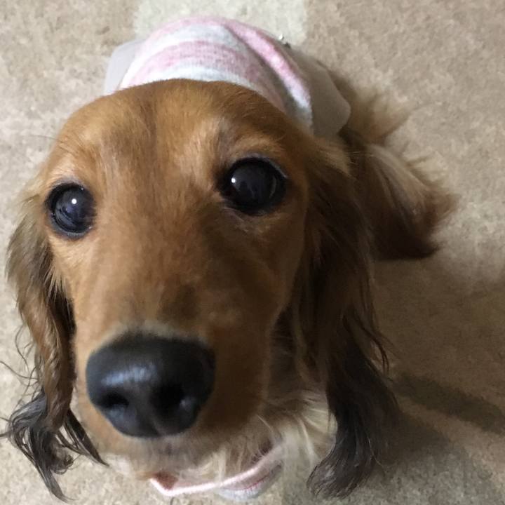 Cf408605 9af8 482e 87ab 8a7c07277097