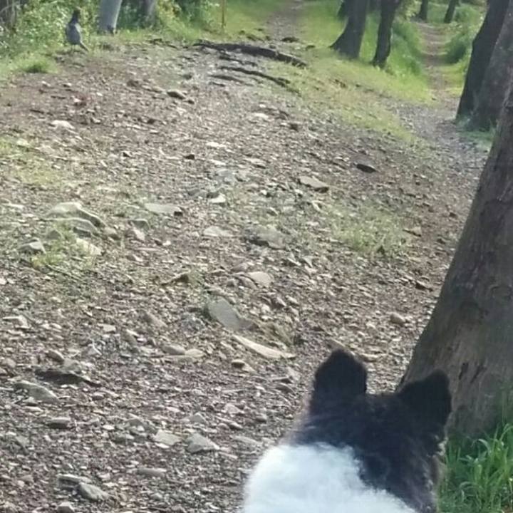 Cf40d80b 4cc0 4b78 b2a9 9f2c64214502