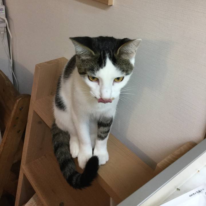 Cf40e549 4c45 4934 9cc3 e60c9b2a711b