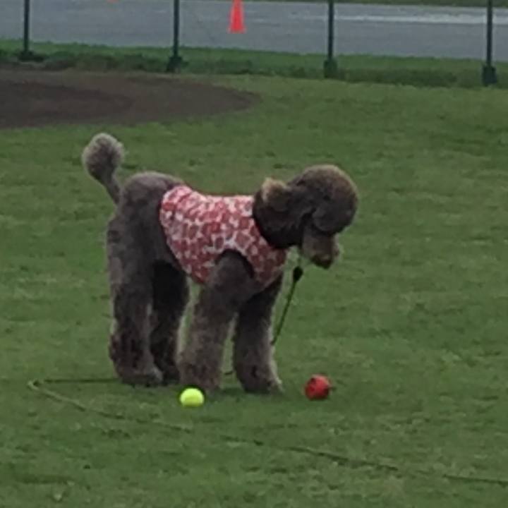 Cf4120d6 fb95 4900 931d 483d4f11fb33