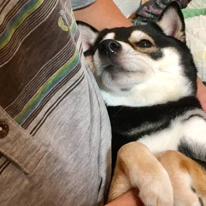 Cf416c64 a69c 4538 ad87 81a247012387