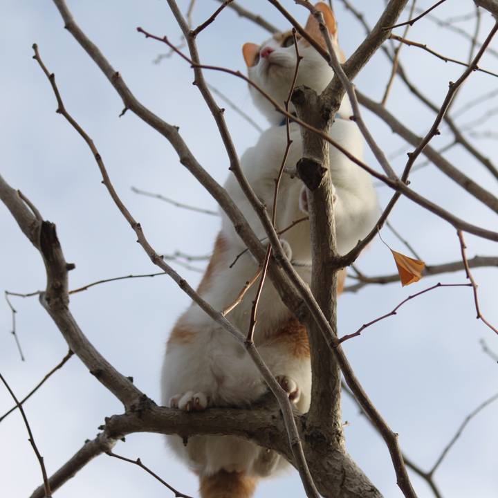 Cf41ab83 3783 44b5 b49e 088b19b41cb2