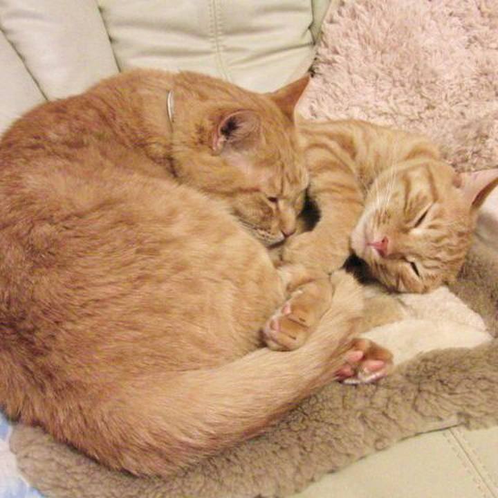 Cf41b91e 1566 4954 93b0 a00067ddba49