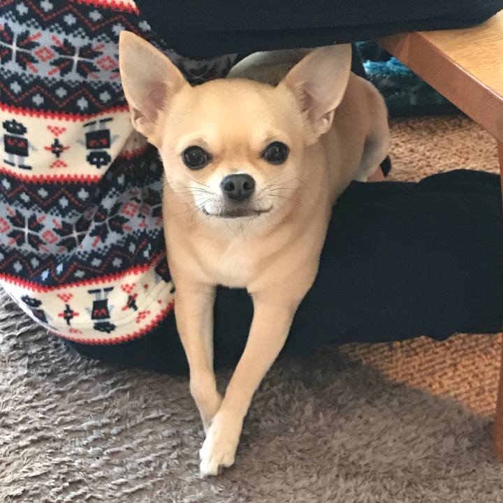 Cf41de13 781c 469f 91ed c6a7a4434476