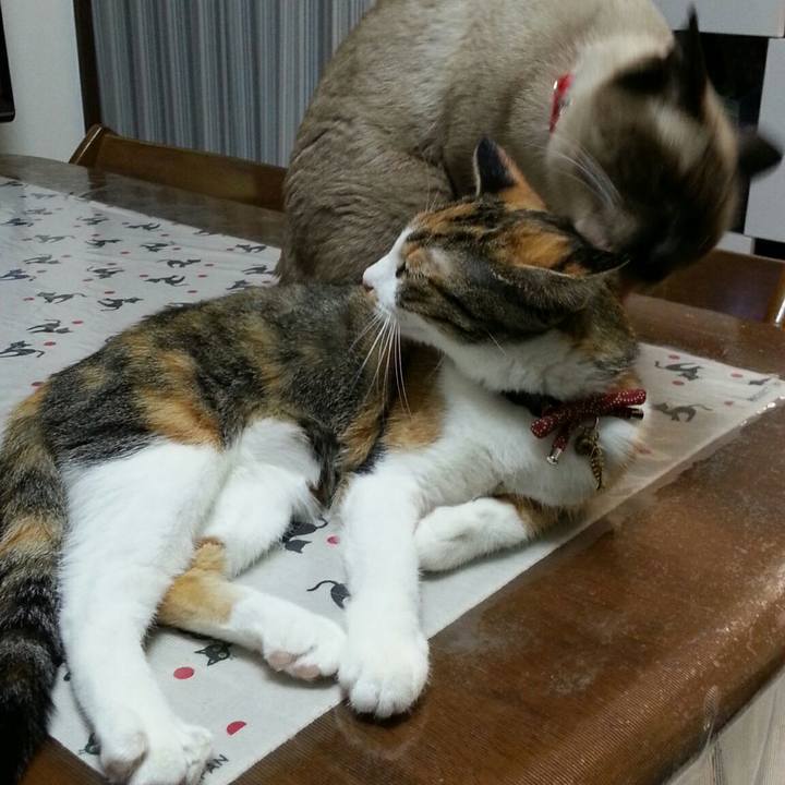 Cf421fbb 006d 4598 90e9 c5f79254adc0