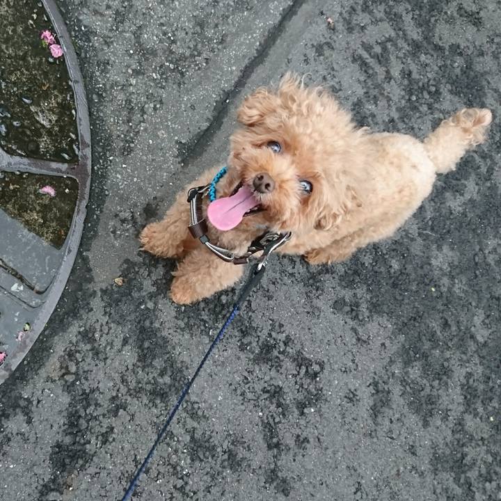 Cf4284cf 43d5 481e b77e bbaa1455e53e