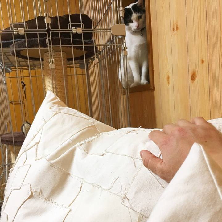 Cf42aac5 22b4 45cc b8a4 9e5d015db7e4