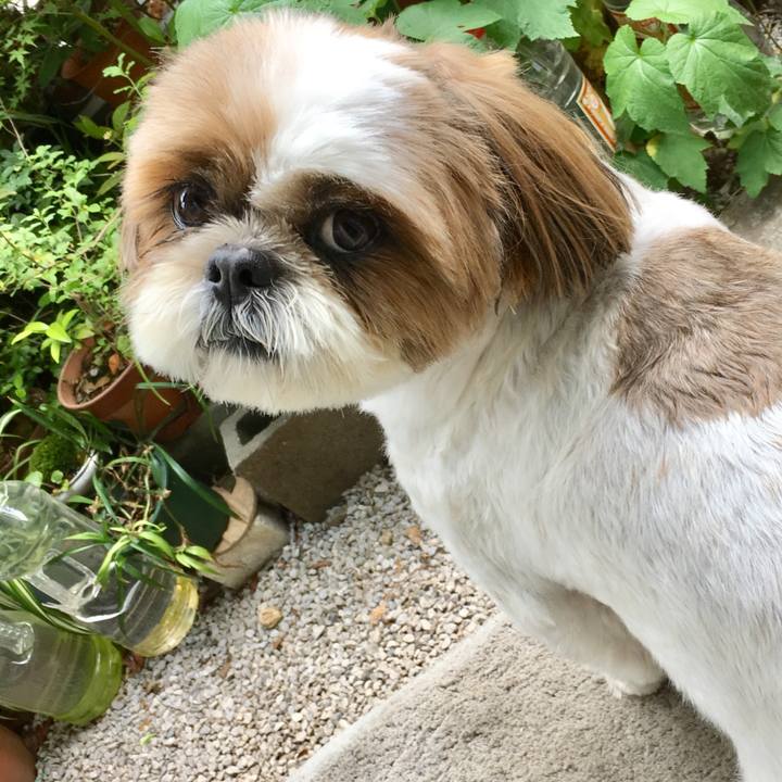 Cf4342b2 ec81 44ec a046 f70ef59d1ba3