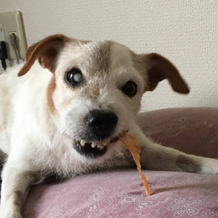 Cf43495b a76b 4ddc 8979 2ecb63b020a5