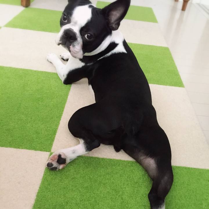 Cf436404 6efe 4d72 9b0c 8792489fb057