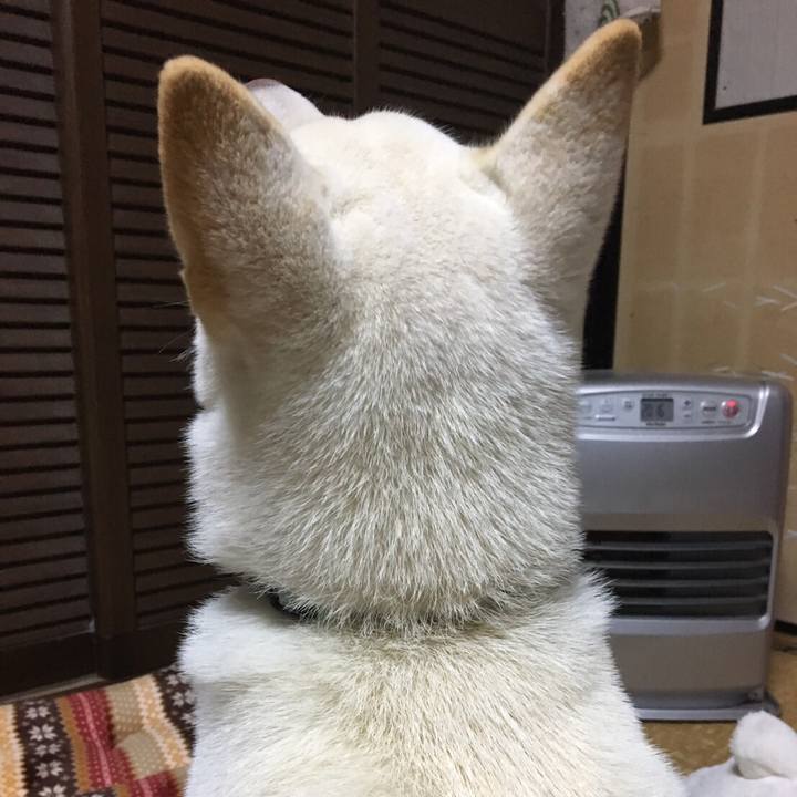 Cf43706f 1018 401d 86c2 2fcb5455c79c