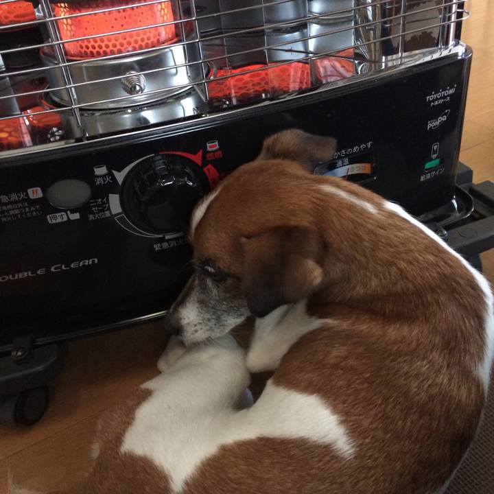 Cf438c20 fa89 45f0 97a9 0972e6a4228c