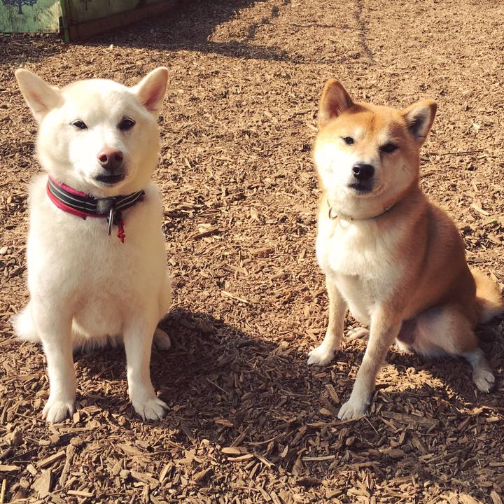 Cf43fdb6 a624 4e51 8a62 182df58b4ec3