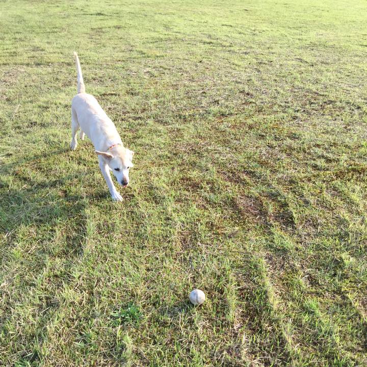 Cf44183e e5dd 41a4 89c8 966d47112be7