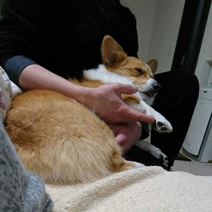 Cf445a85 bbad 4a07 bf11 2394aeb37e64