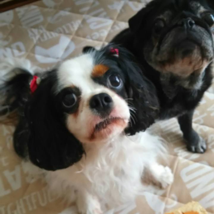 Cf445f08 b8ae 4a06 b9dc f07eb1da7156