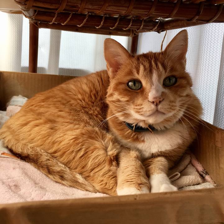 Cf4471ef a4cb 45d3 853c 7ef23fb7c38d