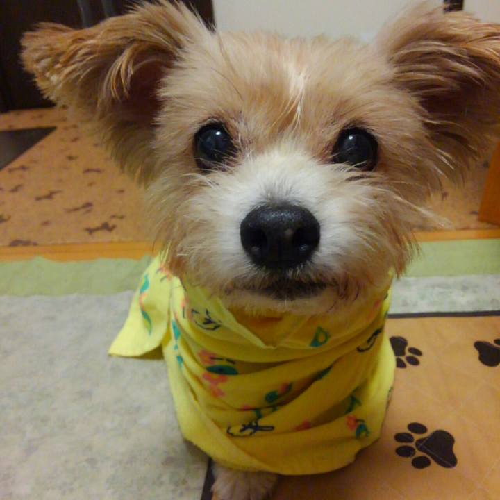 Cf45134c b39b 4cae 91cd 5c43a25e42a8