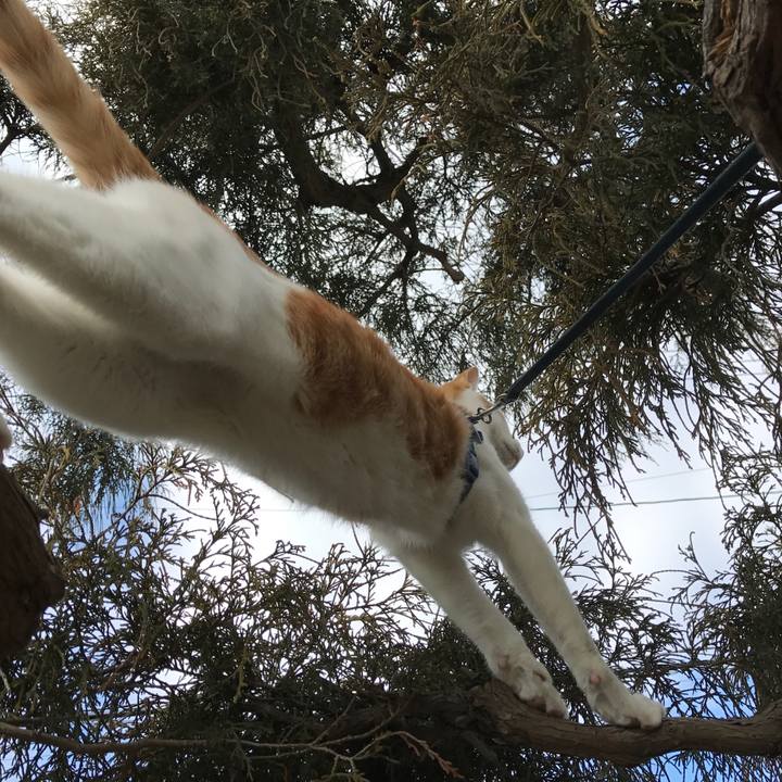 Cf45b2df 8558 4fc4 a00a ef6ddf7dfefd