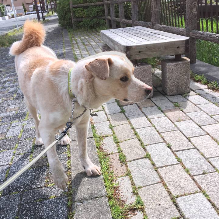 Cf45ceb2 104c 4a3b bcda 9f87745129d0