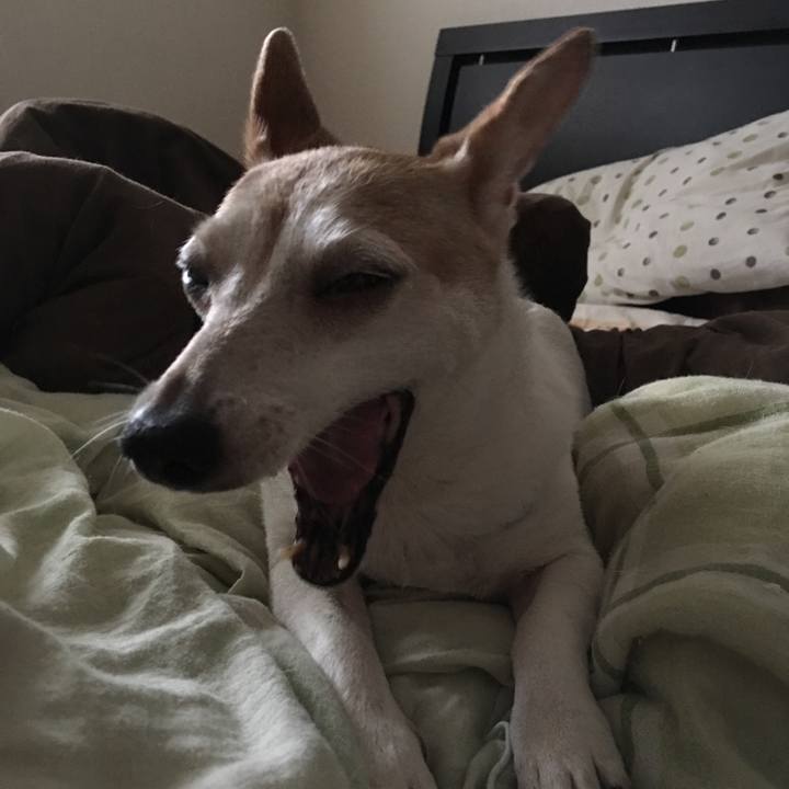 Cf468f61 5b17 4183 a5c7 647c482db905