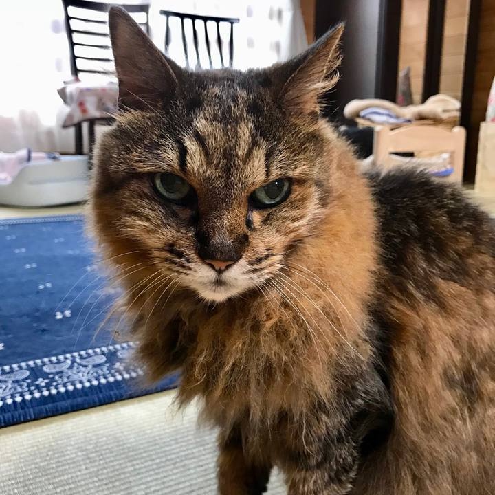 Cf468fbc d6c5 49c0 90ae 7f065cea6e22