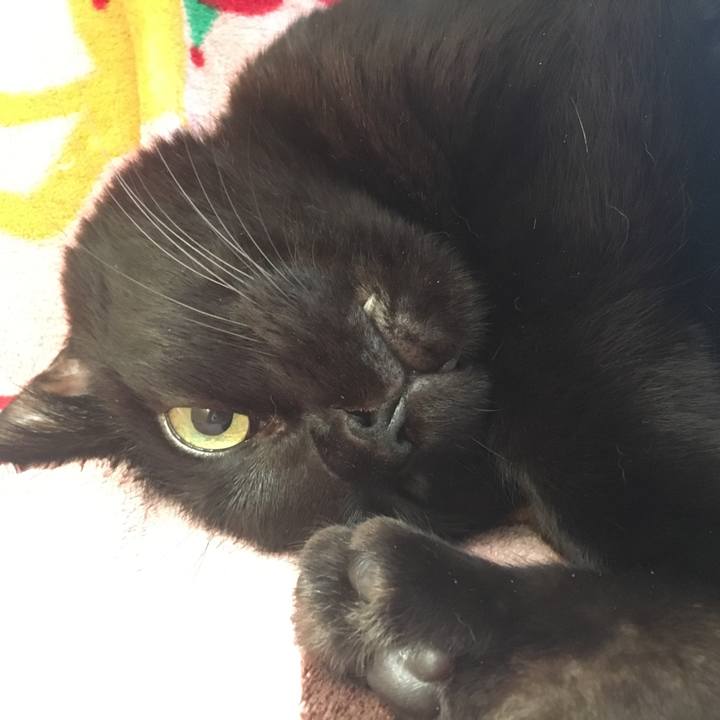 Cf469fee d9ff 4e0f bcff 54b7ea5f3980