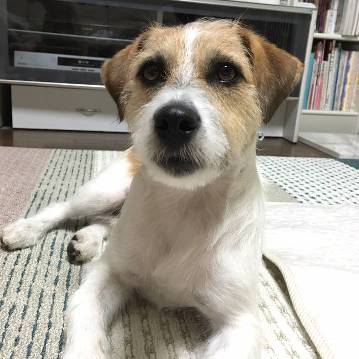 Cf46e528 bbbe 4f2b b75e a6d7abf5be4d