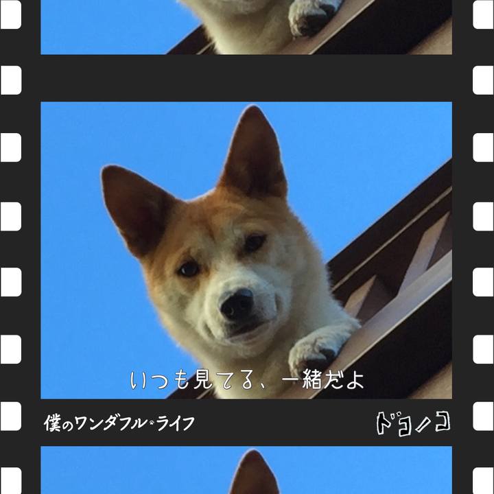 Cf4715fb 5843 4339 8398 e62f774caebe