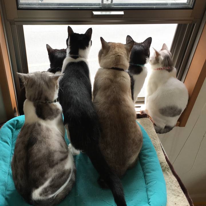 Cf474645 459f 4d46 b0fd c06a8c2c8371