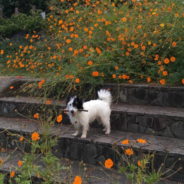 Cf47c9e4 6ed5 47ef 9340 af7c03c02784