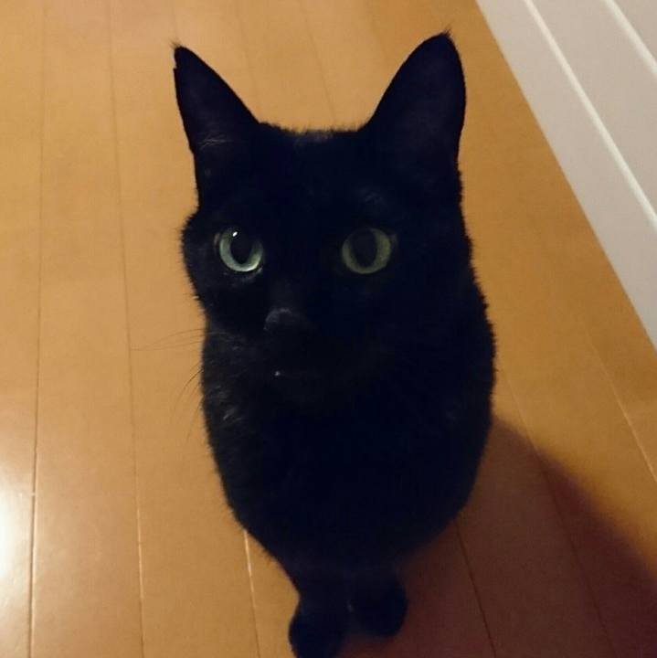 Cf47cc92 9472 4a0e 86a1 1e8badd61f91