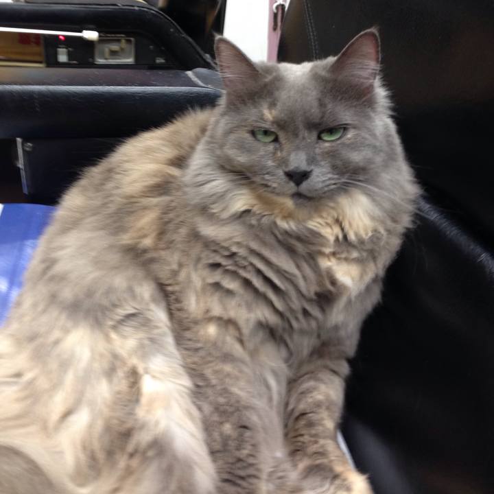 Cf4833af 916c 4133 8c88 63137c075fc1