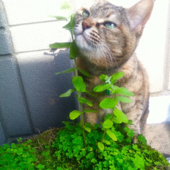 Cf48bbf9 7868 44cd 9795 1eafca9dd2d8