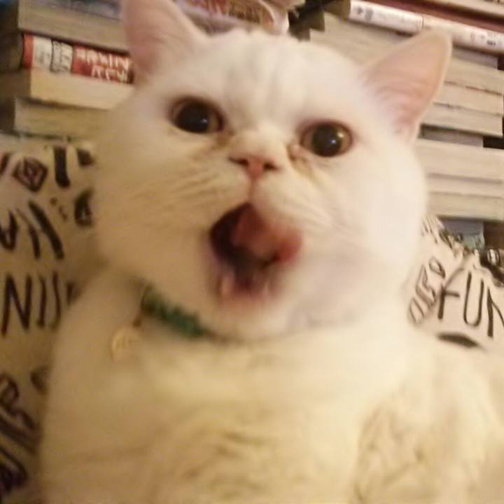 Cf49063f d9fc 4b66 806b a630e7d94a5e