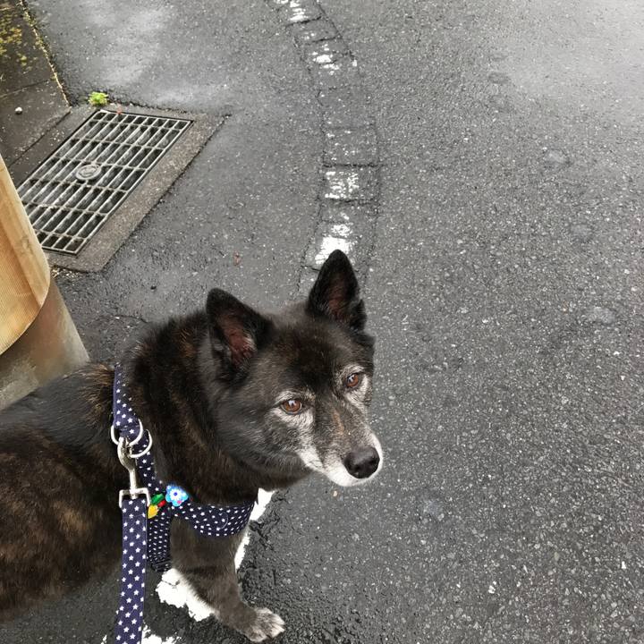 Cf4908da 519d 4671 bcad ea47c47b1c90