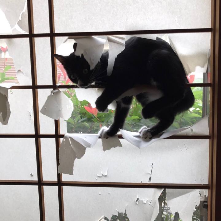 Cf49665e 75c8 40af 97d0 092cb1cbf306