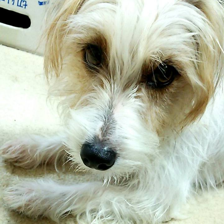 Cf4a4c44 a5b2 4bb9 b873 d07b01af9b4f