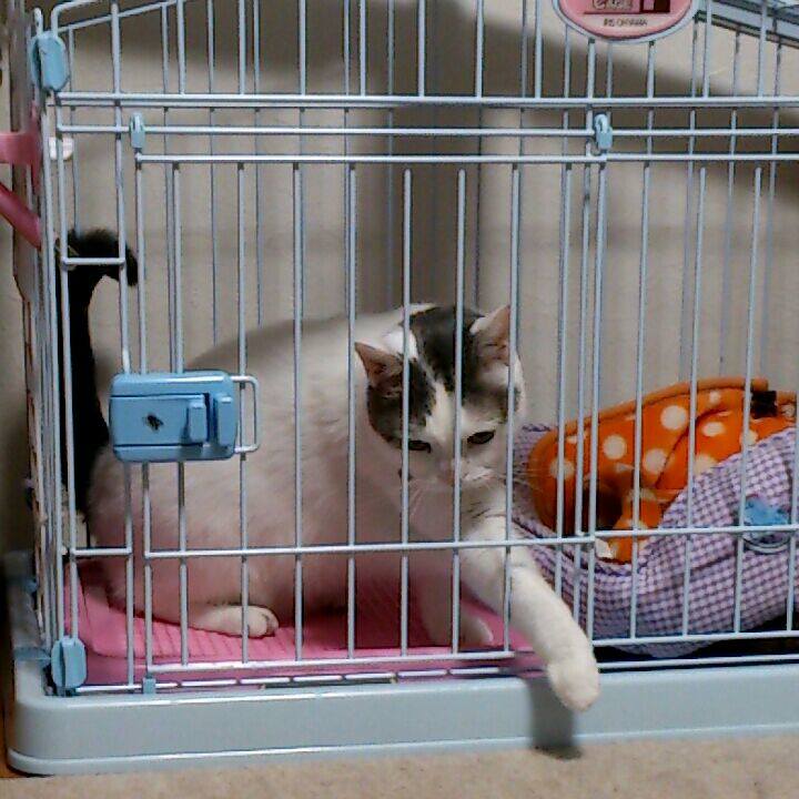 Cf4ab20c 193c 4e20 ae1d 375bd12b8fb5